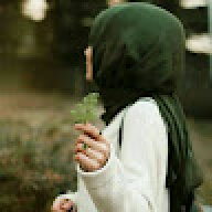 hemoalariki3